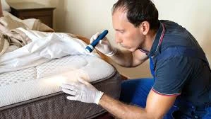 Inspection professionnelle des zones infestées par un technicien certifié